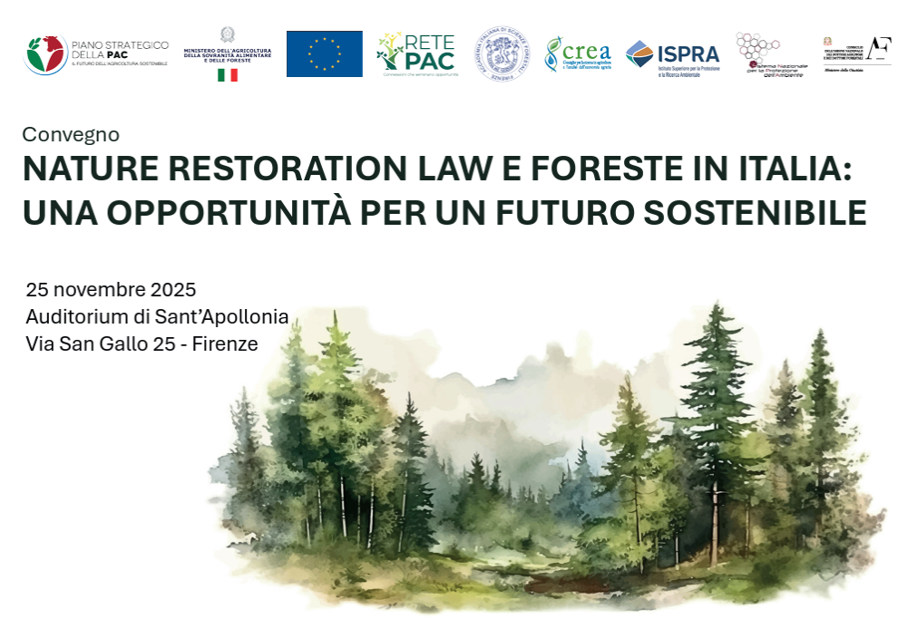 Nature Restoration Law e foreste in Italia: una opportunità per un futuro sostenibile